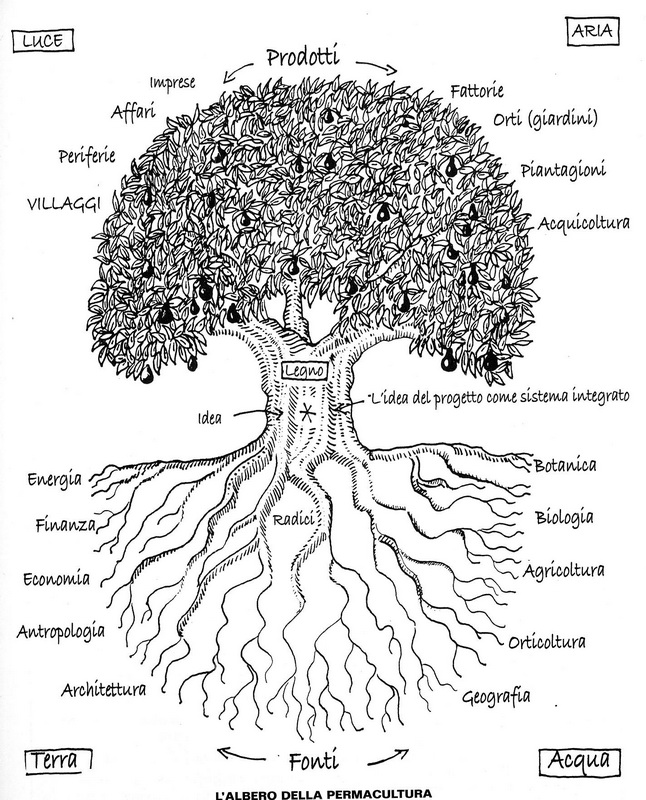 albero-permacultura