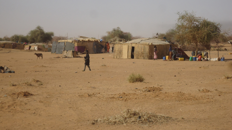 Nord Mali, regione di Gao. Foto Archivio LVIA