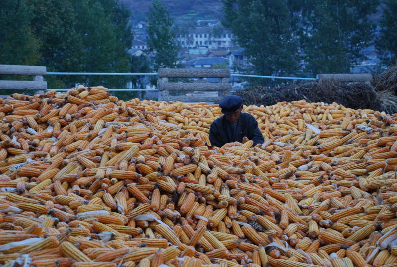 NorthKorea-food-foto-Devrig Velly EU:ECHO_resize