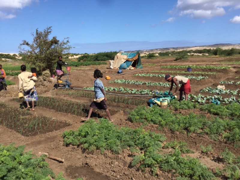 20160520-Amboasary-WFP-FFA-Cleared-Communal-Vegetable-Field-3-1 1_resize