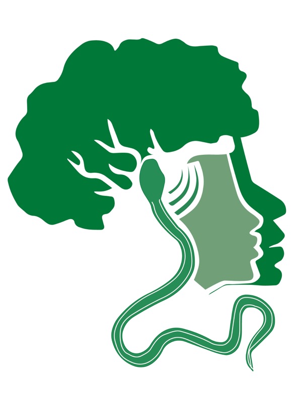 Il logo del Fospa.