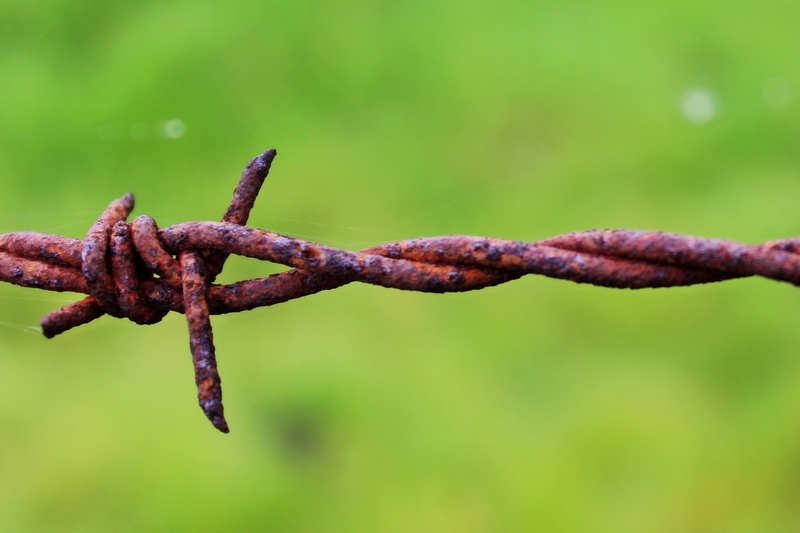 barbed-wire-Pixabay_resize