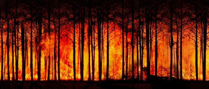forest-fire-foto-GerdAltmann-Pixabay-00_resize
