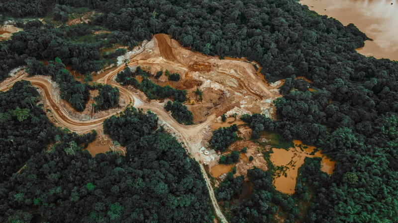 deforestazione-foto-renaldo-matamoro-unsplash_resize