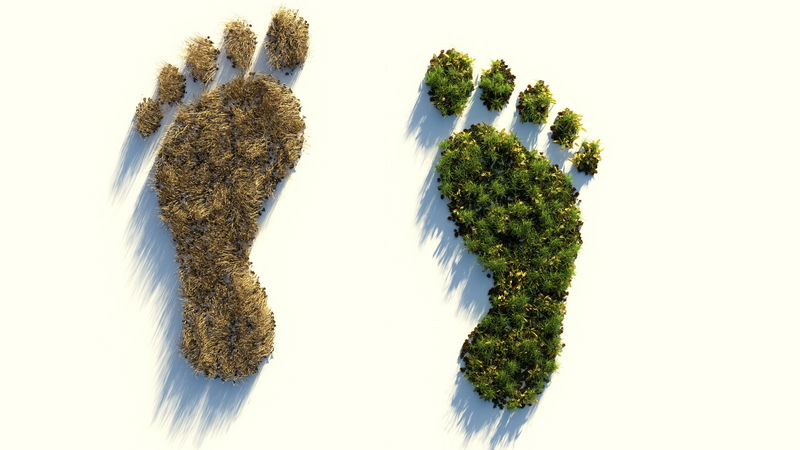 logo-footprint-fotoColinBehrens-Pixabay_resize