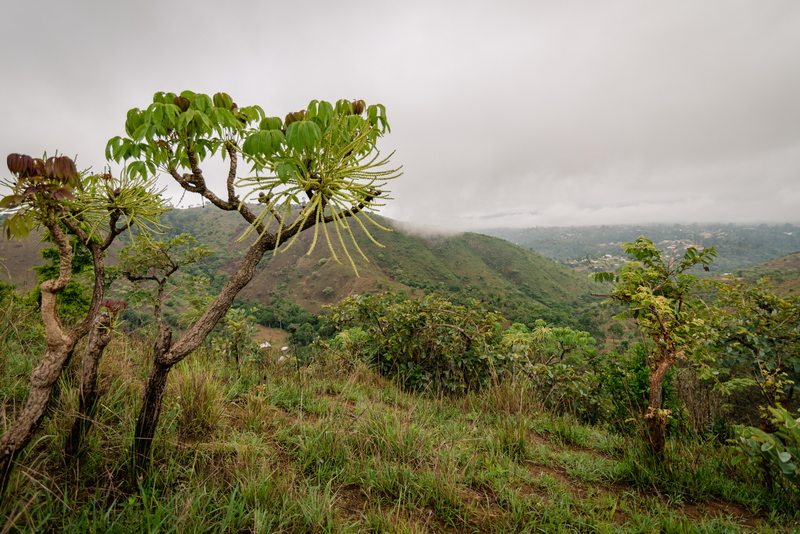 Cameroon – Aprile 2022 – Nord-Ovest – Batack – Bafang District