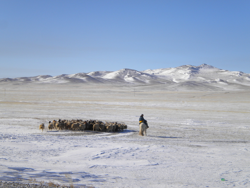 2011 Mongolia Arvaiheer 06_resize