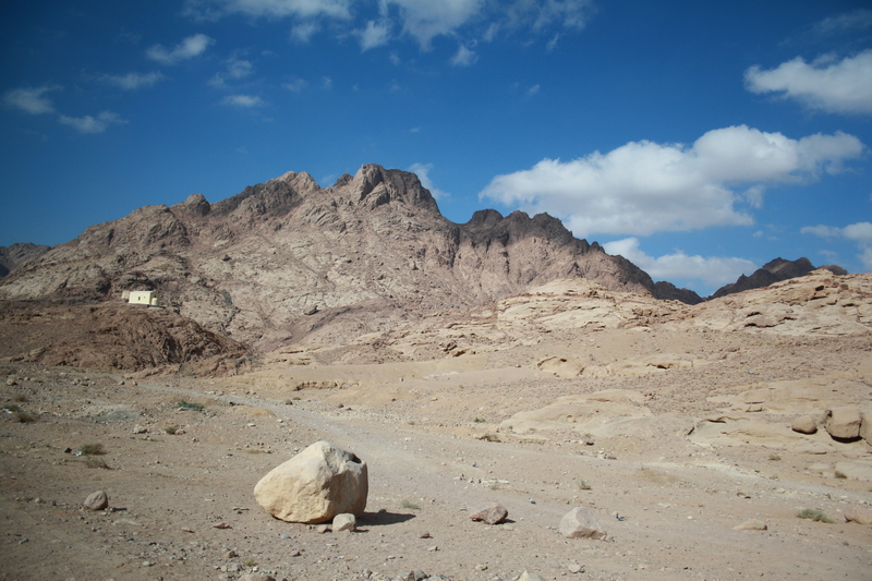 Penisoa del Sinai