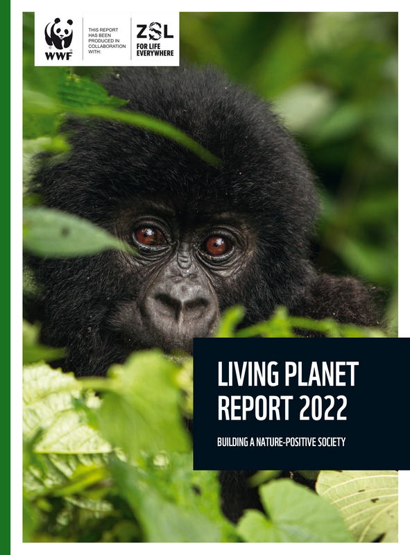 La copertina del «Living planet report 2022» del WWF.