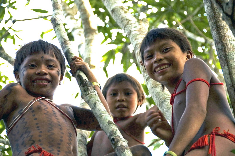 Yanomami girsl in a tree, Brazil.