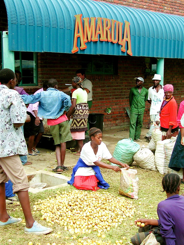Amarula