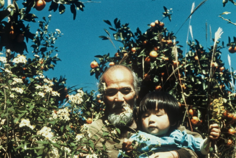 HR Fukuoka With Grandson in Mikan Tree
