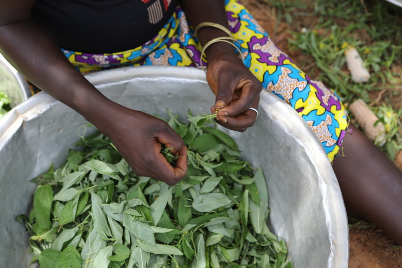 Burkina18_143