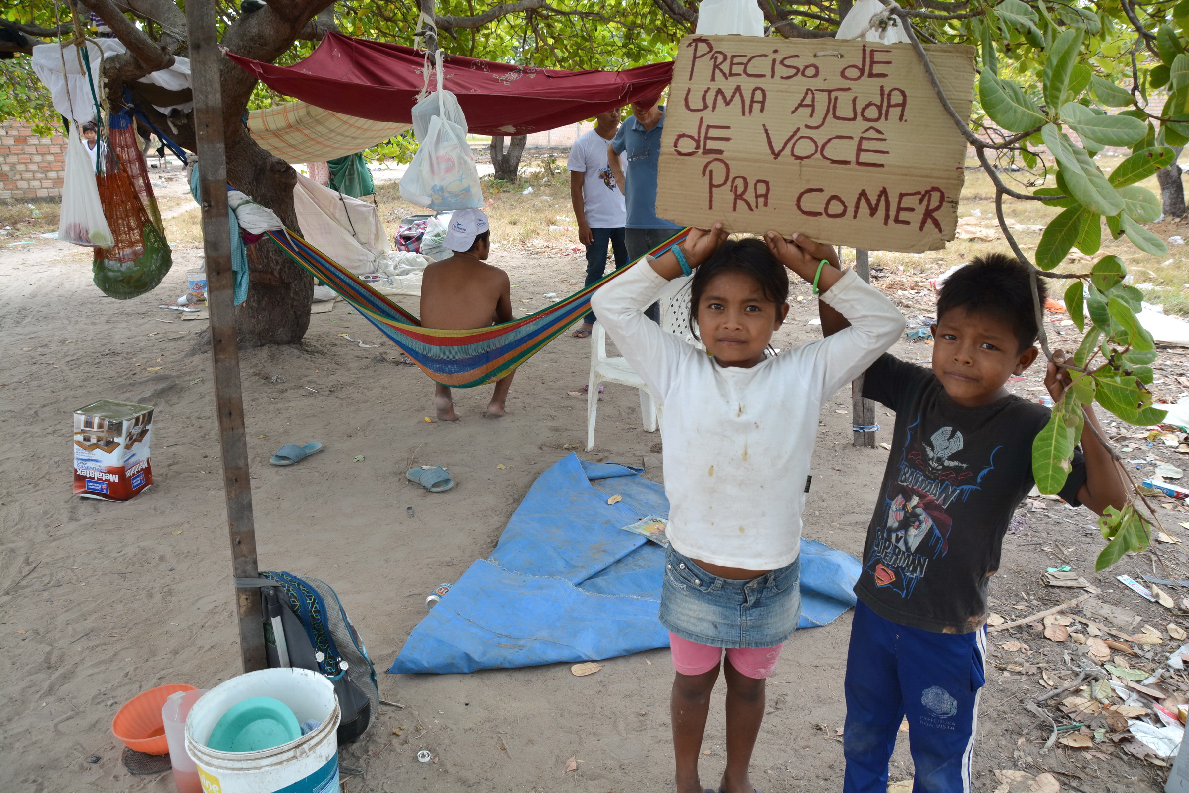 Um cajueiro se tornou a morada de indígenas Warao. Cartaz anuncia pedido de ajuda para comer