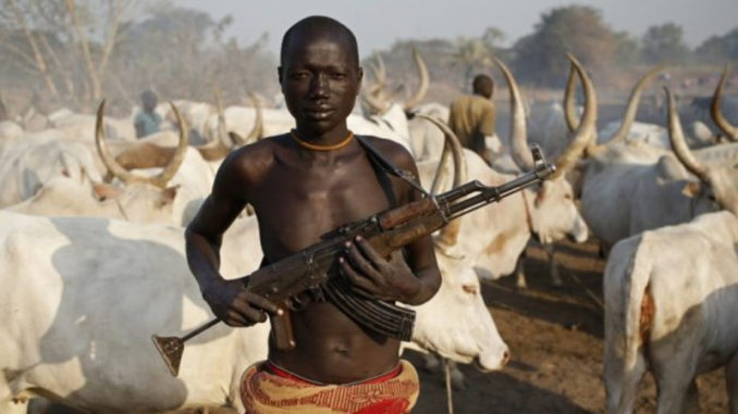 Armed-Fulani-herdsmen-696x363-2100x1200_resize