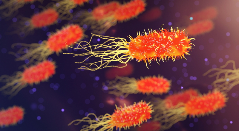 bacteria-foto-ArekSocha-Pixabay_resize