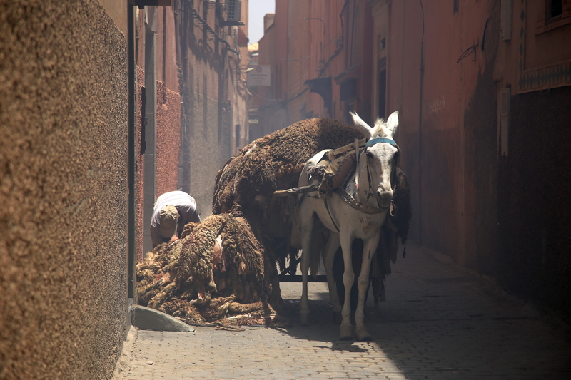 In uno stretto vicolo del suk di Marrakech. Foto Piergiorgio Pescali.